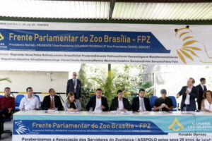 relancamento-FPZ-077-_MG_6504